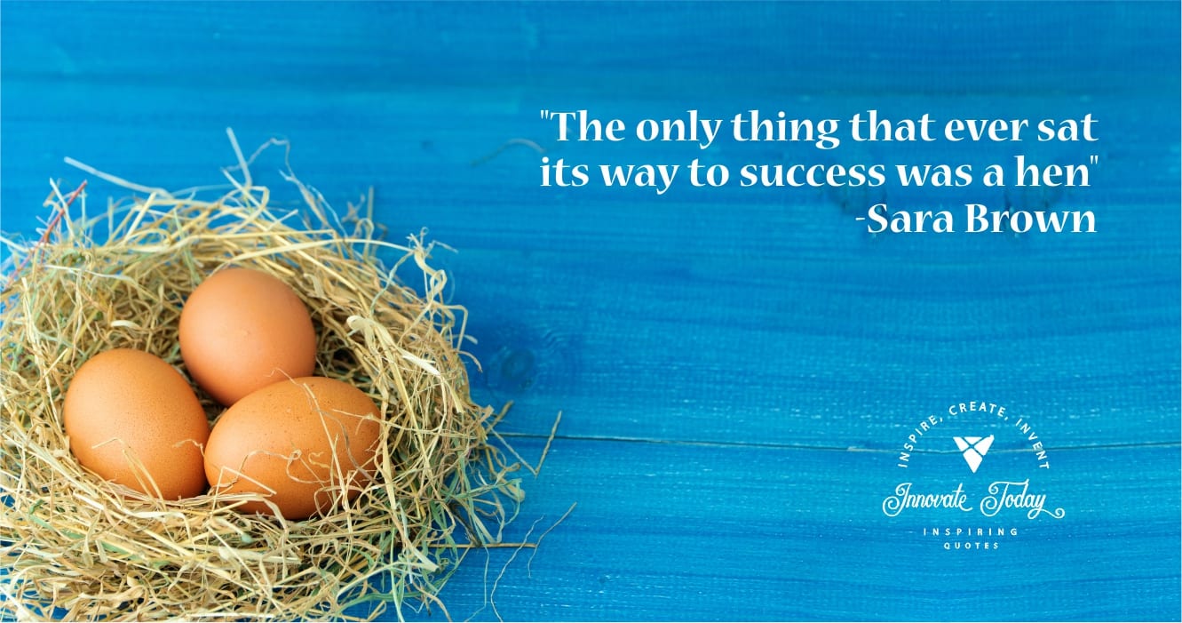 The only thing that ever sat its way to success Sarah Brown